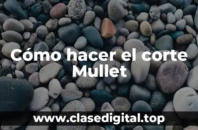 Cómo hacer el corte Mullet