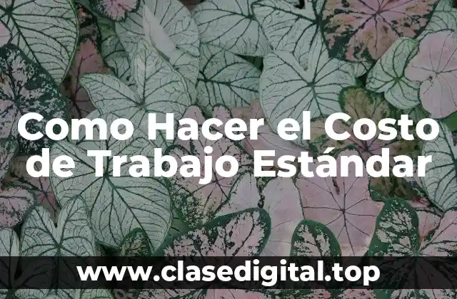 Como Hacer el Costo de Trabajo Estándar