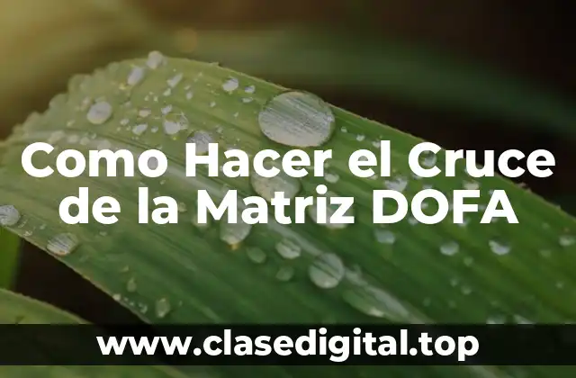 Como Hacer el Cruce de la Matriz DOFA