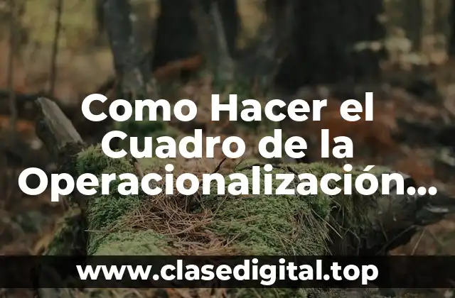 Como Hacer el Cuadro de la Operacionalización de Variables