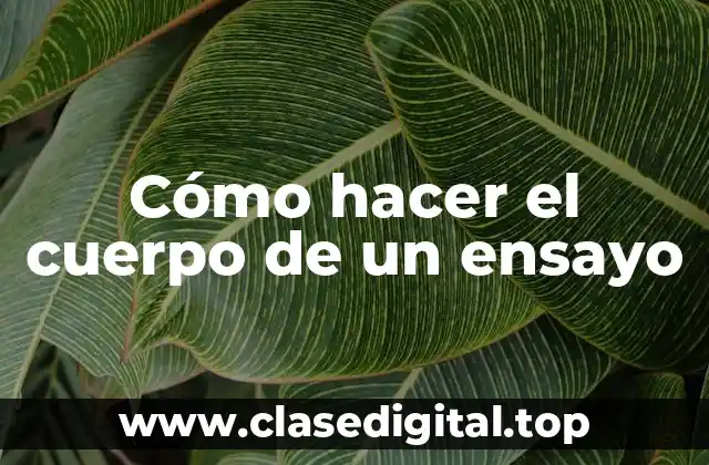 Cómo hacer el cuerpo de un ensayo