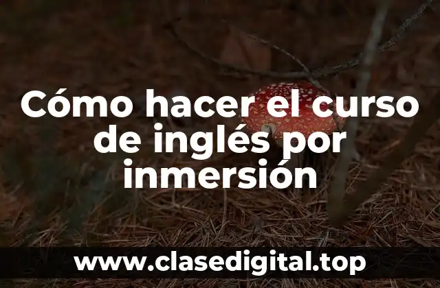 Cómo hacer el curso de inglés por inmersión