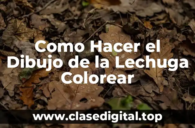 Como Hacer el Dibujo de la Lechuga Colorear