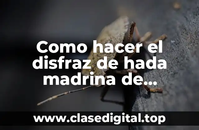 Como hacer el disfraz de hada madrina de Cenicienta