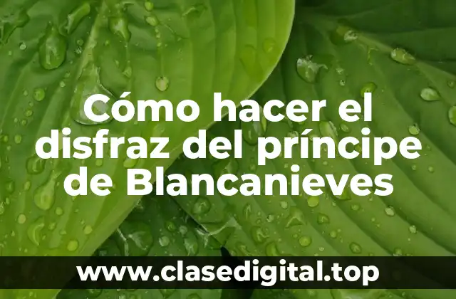 Cómo hacer el disfraz del príncipe de Blancanieves