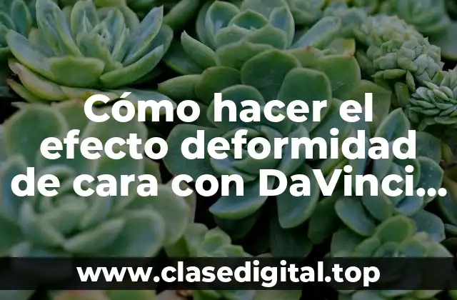 Cómo hacer el efecto deformidad de cara con DaVinci Resolve