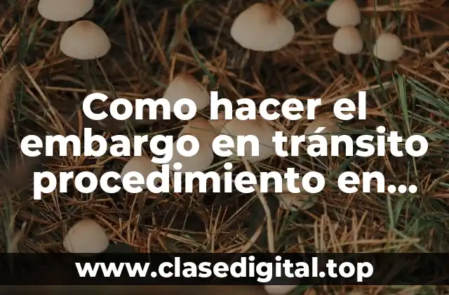 Como hacer el embargo en tránsito procedimiento en Bolivia