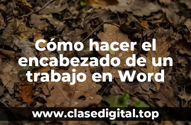 Cómo hacer el encabezado de un trabajo en Word