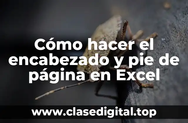 Cómo hacer el encabezado y pie de página en Excel