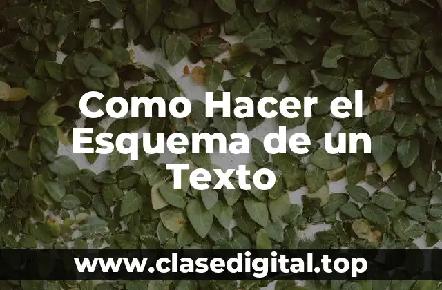 ¿Qué es un Esquema de Texto?