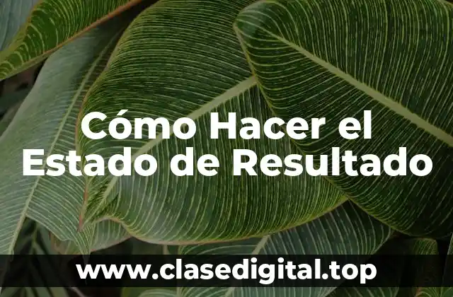Cómo Hacer el Estado de Resultado