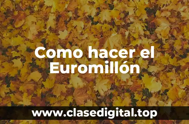 Como hacer el Euromillón