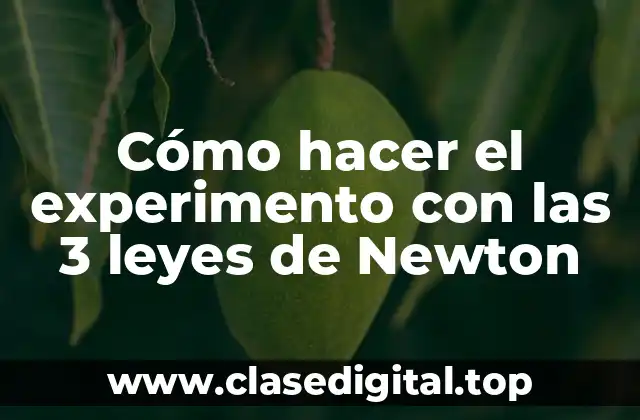 Las 3 leyes de Newton