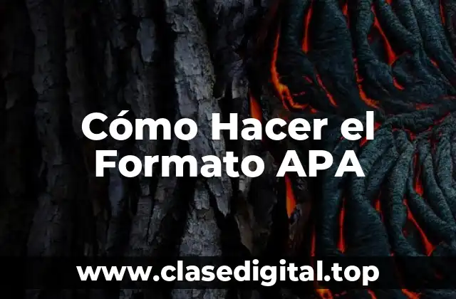 Cómo Hacer el Formato APA