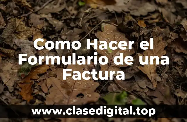 Como Hacer el Formulario de una Factura