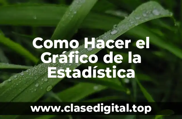 Como Hacer el Gráfico de la Estadística