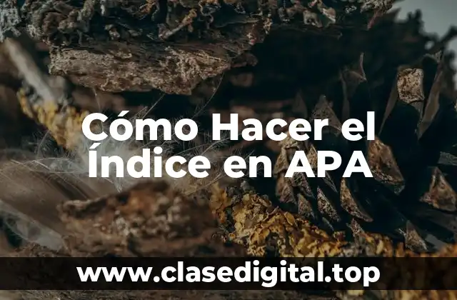 Cómo Hacer el Índice en APA