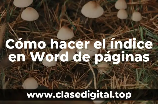 Cómo hacer el índice en Word de páginas