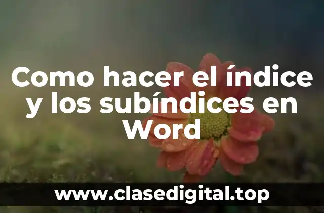 Como hacer el índice y los subíndices en Word
