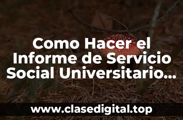 Como Hacer el Informe de Servicio Social Universitario Agropecuario