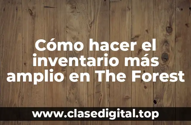 ¿Qué es un inventario amplio en The Forest?