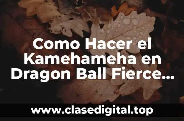 Como Hacer el Kamehameha en Dragon Ball Fierce Fighting