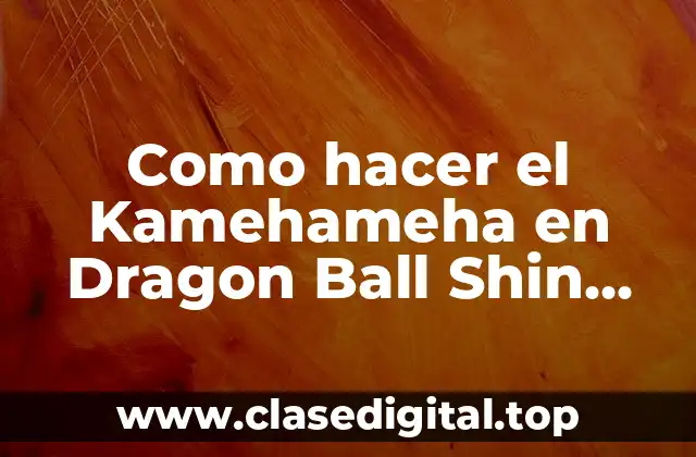 Como hacer el Kamehameha en Dragon Ball Shin Budokai