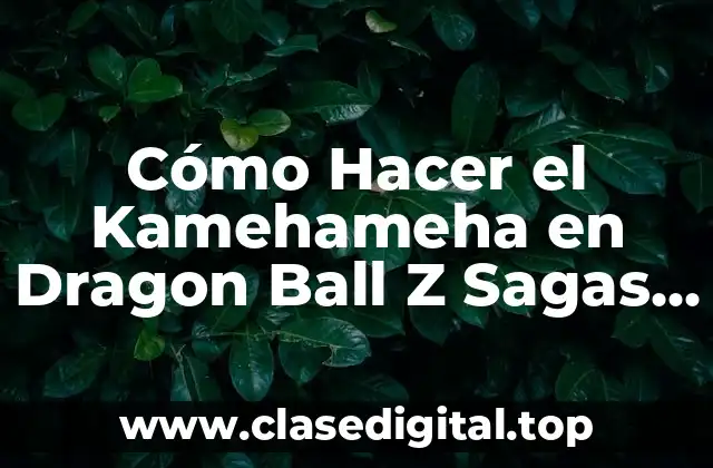 Cómo Hacer el Kamehameha en Dragon Ball Z Sagas PC