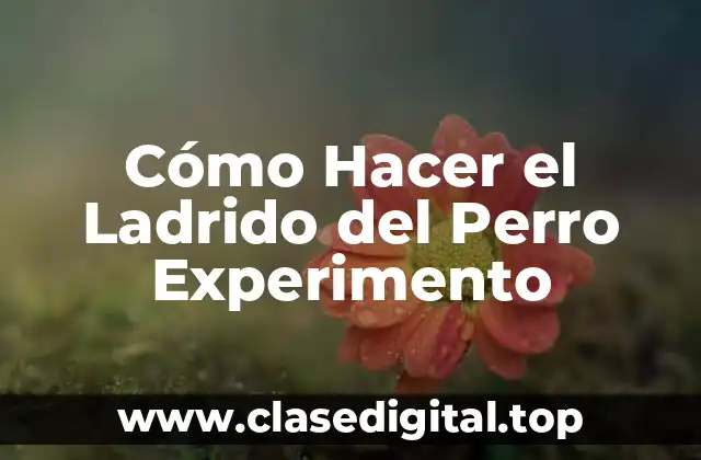 Cómo Hacer el Ladrido del Perro Experimento