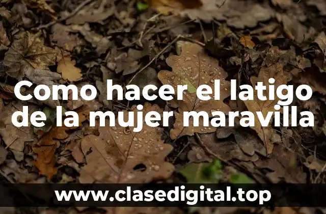 Como hacer el latigo de la mujer maravilla