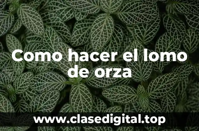 Como hacer el lomo de orza
