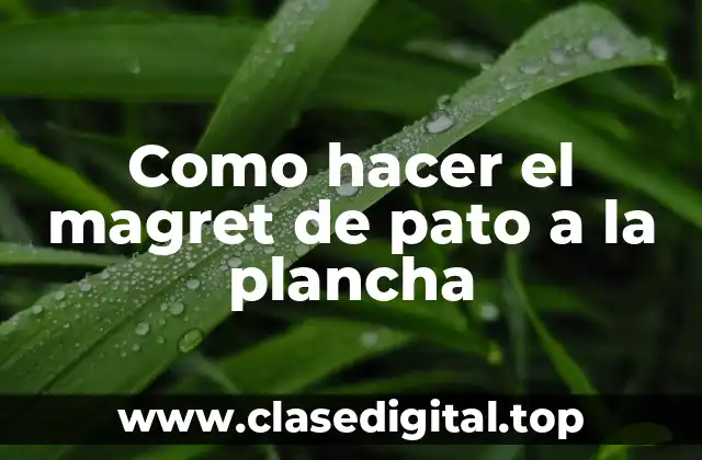 ¿Qué es el magret de pato a la plancha?