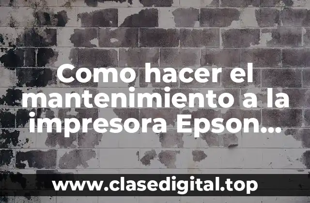 Como hacer el mantenimiento a la impresora Epson L210