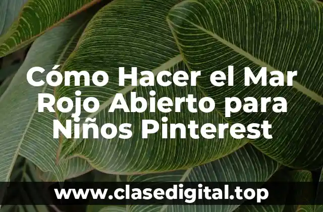 Cómo Hacer el Mar Rojo Abierto para Niños Pinterest