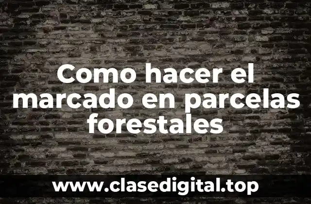 Como hacer el marcado en parcelas forestales