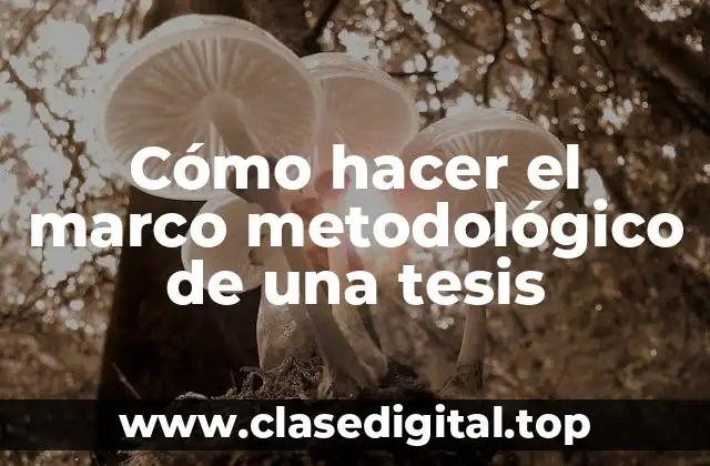 Cómo hacer el marco metodológico de una tesis
