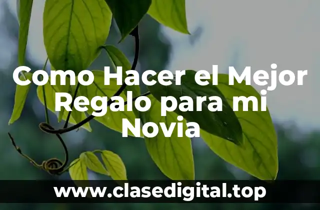 Como Hacer el Mejor Regalo para mi Novia