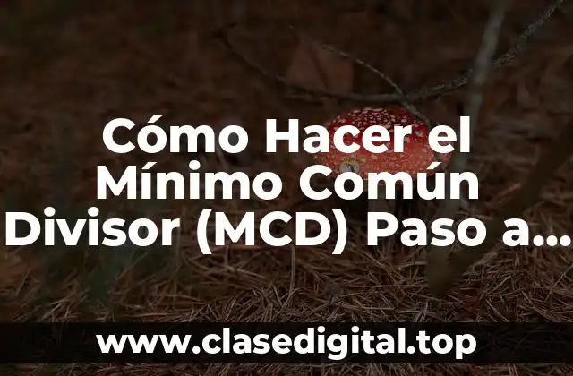 Cómo Hacer el Mínimo Común Divisor (MCD) Paso a Paso