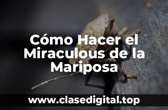 Cómo Hacer el Miraculous de la Mariposa