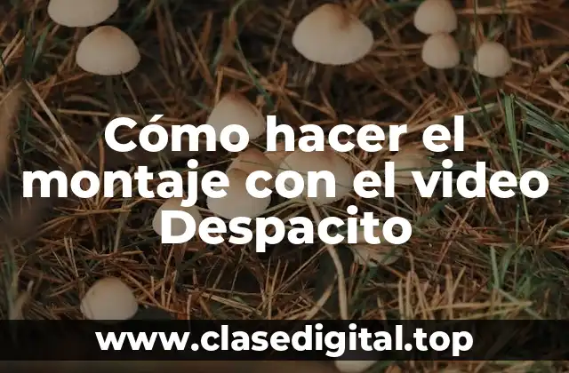 Cómo hacer el montaje con el video Despacito