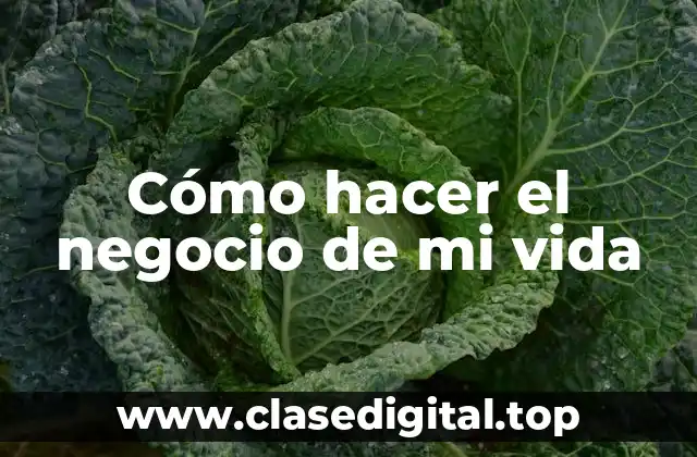 Cómo hacer el negocio de mi vida