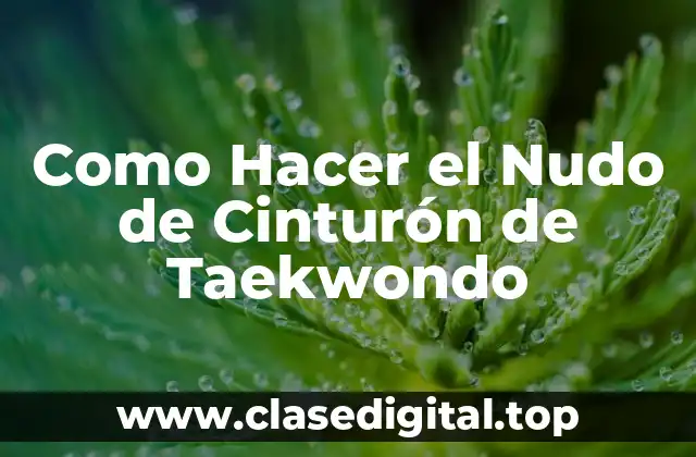 El Nudo de Cinturón de Taekwondo: ¿Qué es y para qué Sirve?