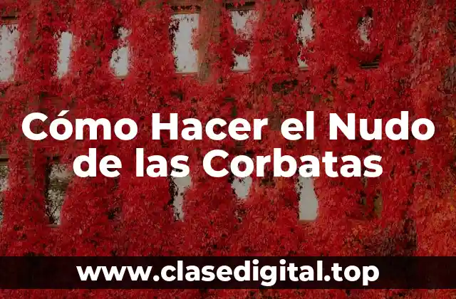 Cómo Hacer el Nudo de las Corbatas