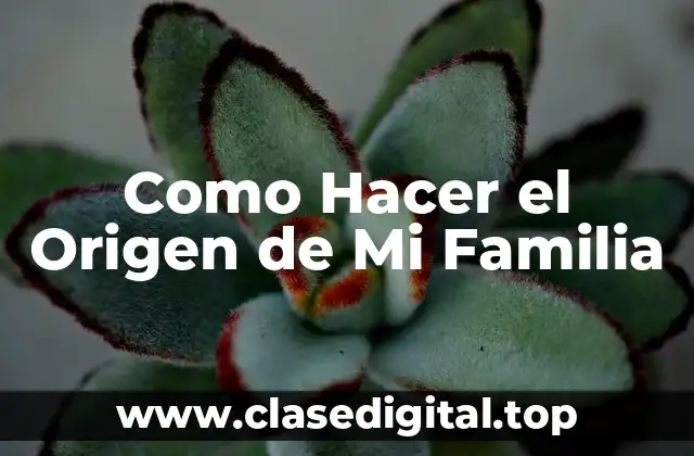 Como Hacer el Origen de Mi Familia