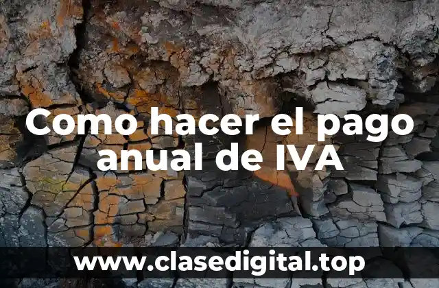 Como hacer el pago anual de IVA