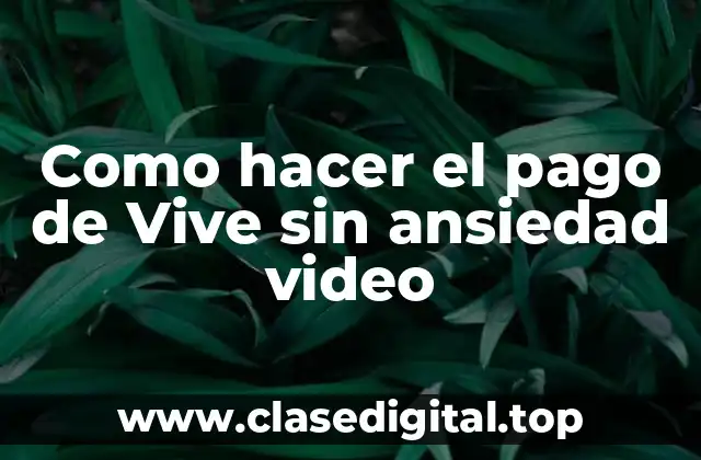 Como hacer el pago de Vive sin ansiedad video