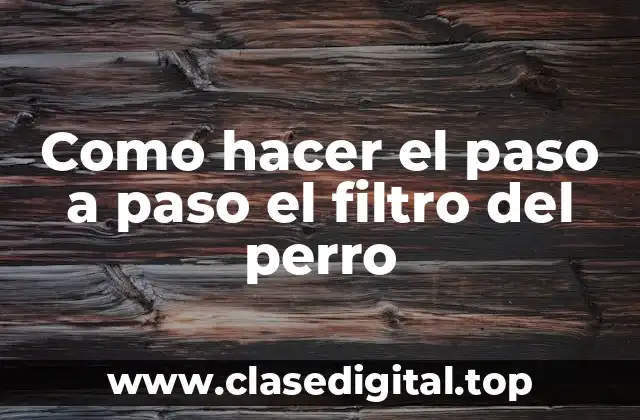 Como hacer el paso a paso el filtro del perro