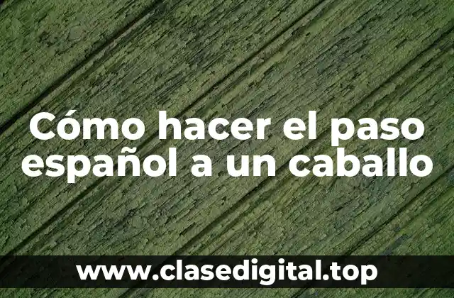 Cómo hacer el paso español a un caballo