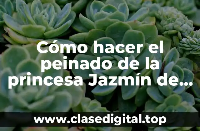 Cómo hacer el peinado de la princesa Jazmín de Aladdín