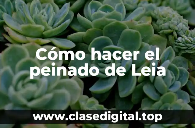 Cómo hacer el peinado de Leia